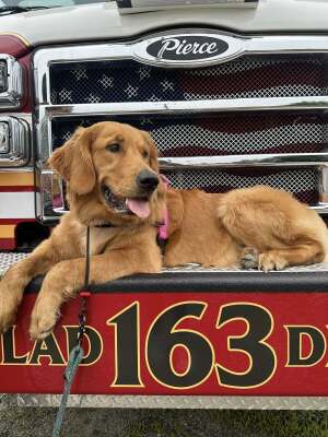 K9 Hope